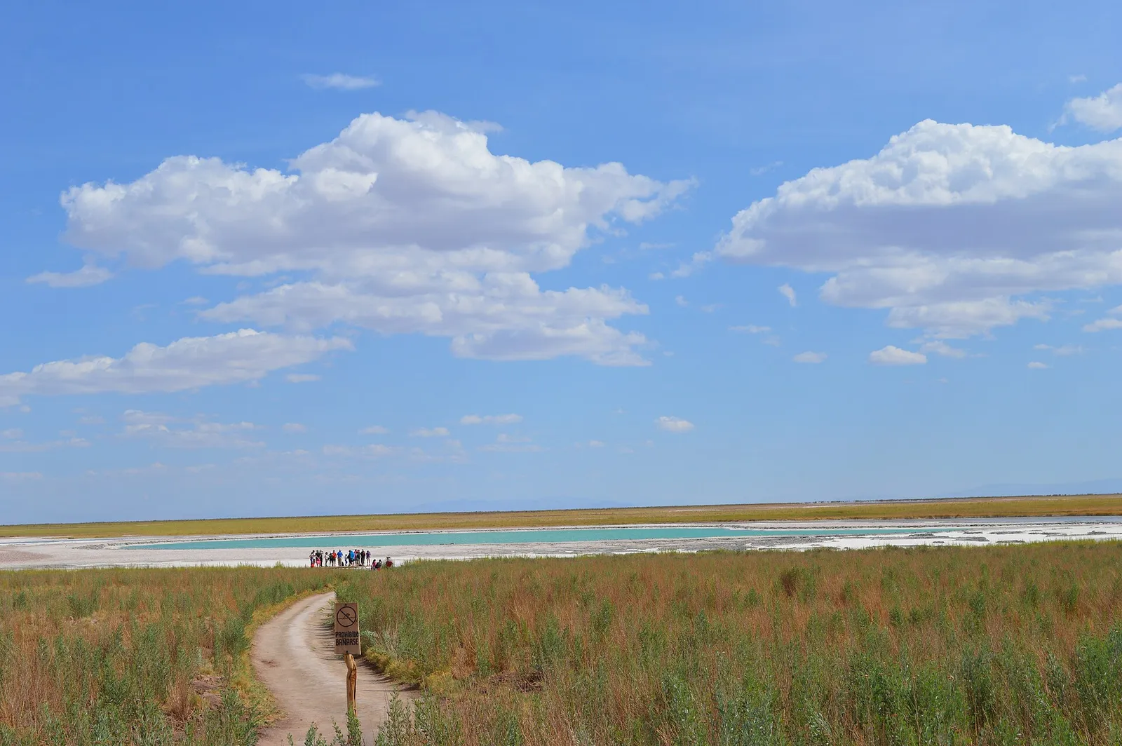 Laguna Cejar