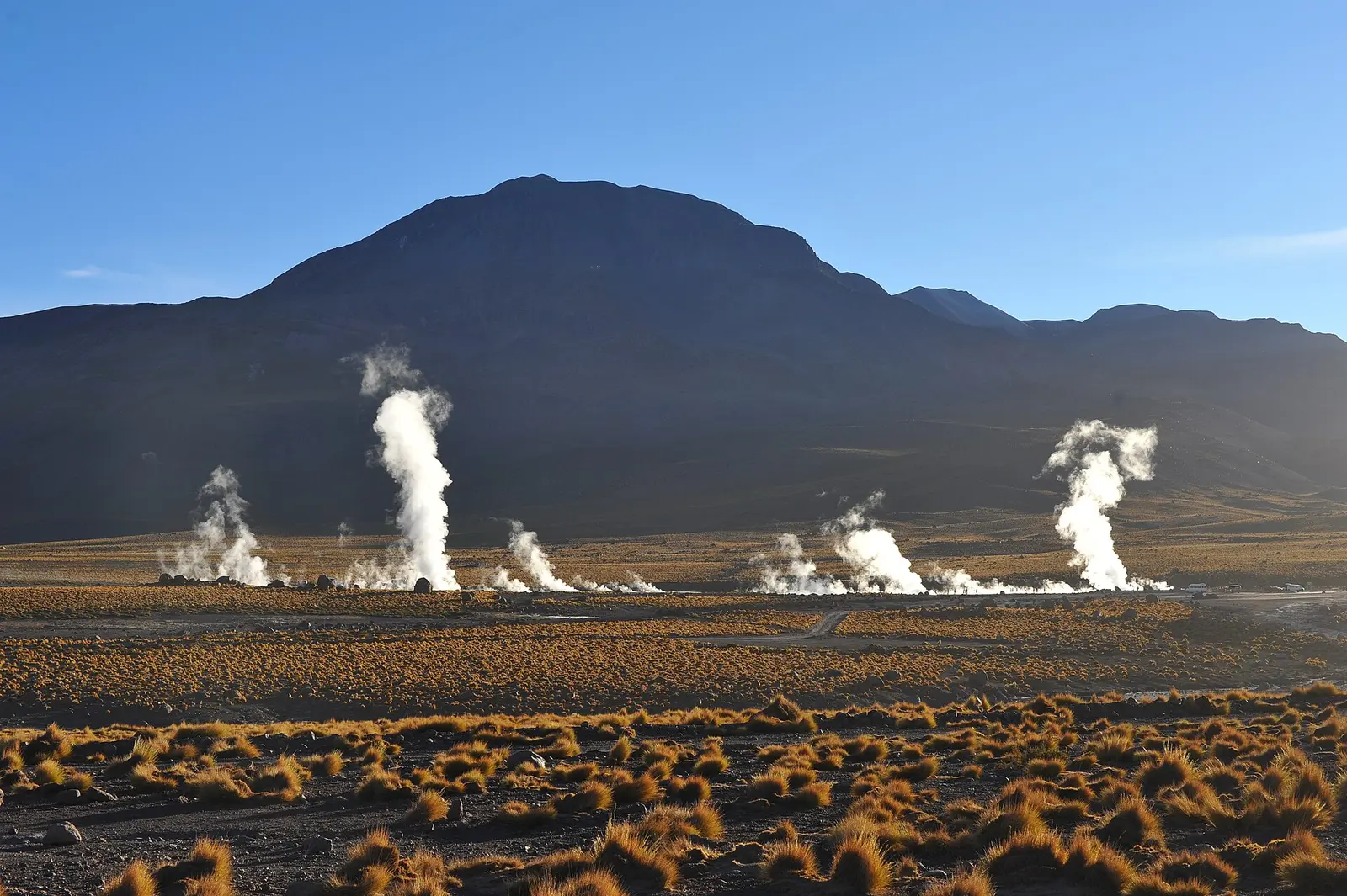 Géiseres del Tatio